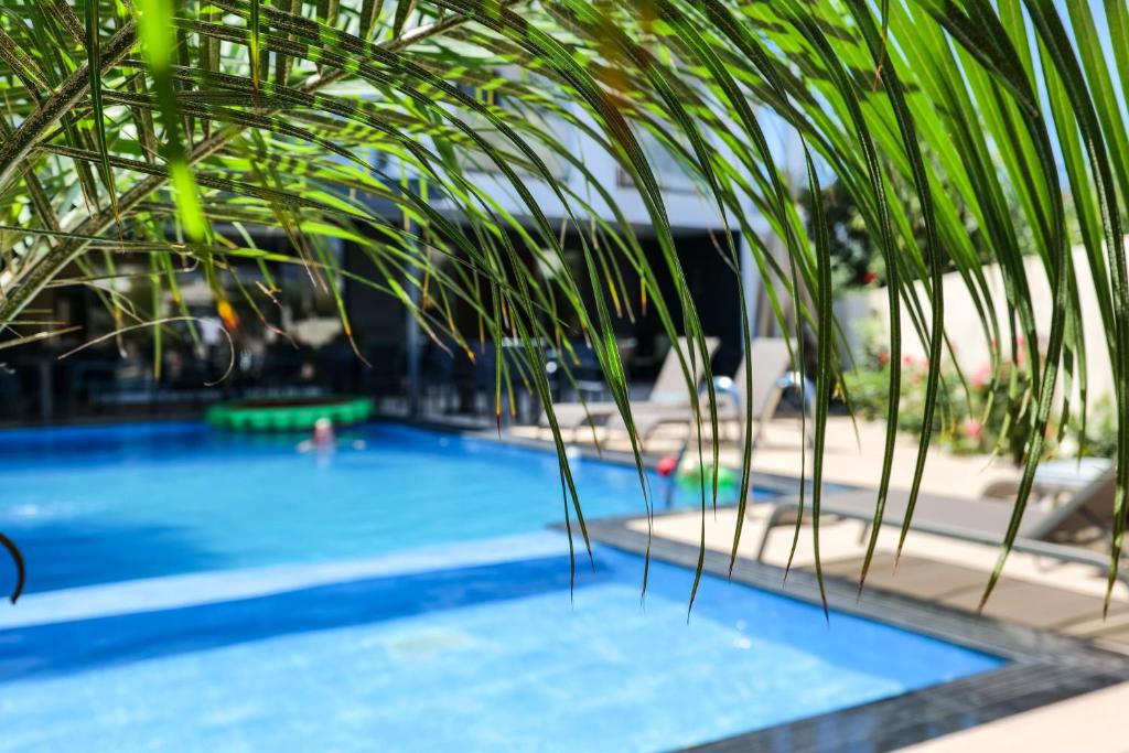 hotel mano 